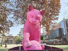 -西安电影制片厂