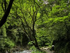 -西岭雪山大飞水景区
