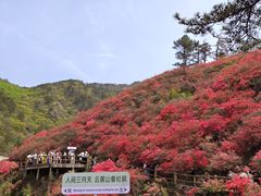 -木兰云雾山