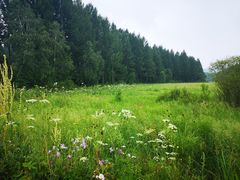 -塞罕坝国家级自然保护区