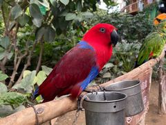 -南宫五洲植物乐园