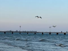 -ChanDu躔度咖啡(灯塔店)