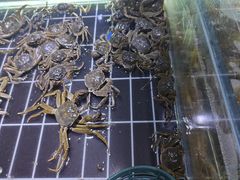 -聚盛源蒸汽海鲜火锅烤肉自助(巨川金海岸购物广场店)