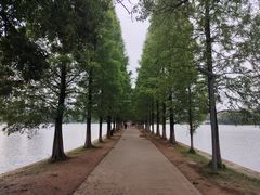 -食膳公园包子铺(烈士公园店)