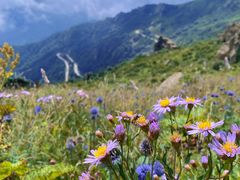 -白草畔自然风景区