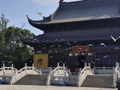 -阳澄湖半岛旅游度假区