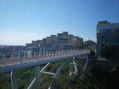 -洋山深水港