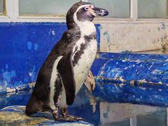 -太平洋海底世界