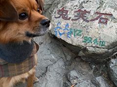-鬼笑石后山停车场