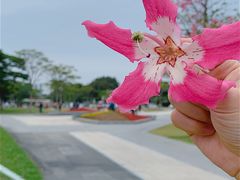 -海心沙亚运公园