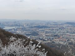 -紫金山山顶公园