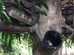 -青青世界