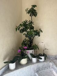 -头道汤·茜曼缇娜