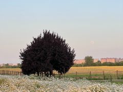 -汉长安城未央宫国家考古遗址公园