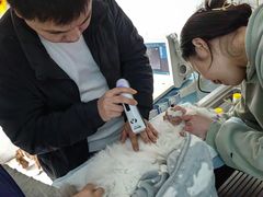 -关爱动物医院·心脏·中兽医·异宠(金牛路分院)