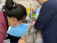-美联众合动物医院·24h京西诊疗中心