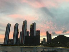 -深圳湾公园(南山区)