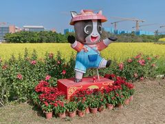 -光明小镇欢乐田园