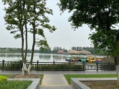 -上海长兴岛郊野公园