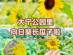 -大宁公园