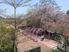 -佛山华盖山公园