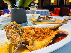 -明湖楼·经典鲁菜山东海鲜(大明湖店)