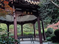 -杭州黄龙洞