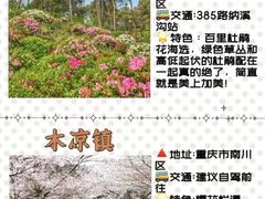 -人民解放纪念碑