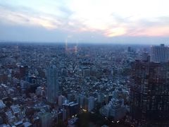 -东京都厅舍