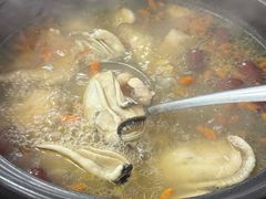-花苑美食横琴生蚝火锅(拱北粤华路店)