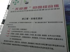 -都江堰玫瑰花溪谷