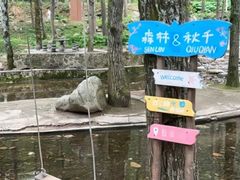 -洛阳白云山景区