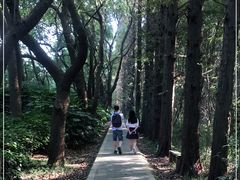 -同里国家湿地公园