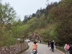 -木兰云雾山