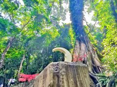 -七仙岭温泉国家森林公园