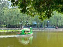 -团结湖公园