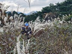 -罗田天堂寨风景区