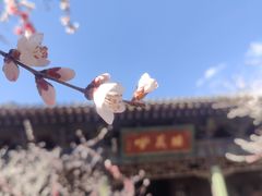 -关帝庙(大同古城)