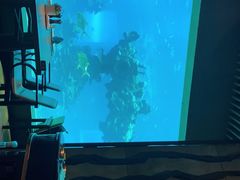 -海棠湾洲际-涛·海底餐厅·美人鱼·自助餐·海底隧道