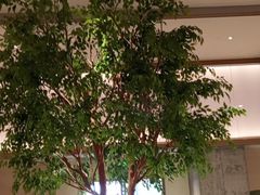 -榕意·川味之美(深业上城店)