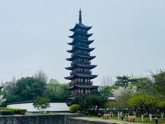 -上海方塔园