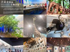 -浙江自然博物院(杭州馆)