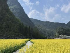 -万峰林风景区