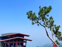 -少华山国家森林公园