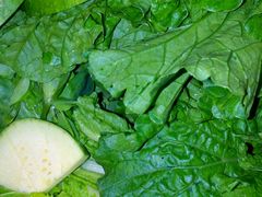 -黔蘑菇四季餐厅(观山湖店)