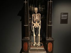 -丹麦国家博物馆