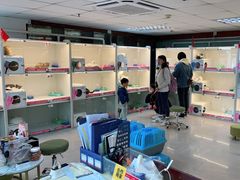 -lincat·猫舍(广州店)