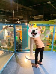 -北京科学中心儿童乐园