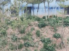 -青藏高原野生动物园