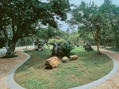 -菊花台公园